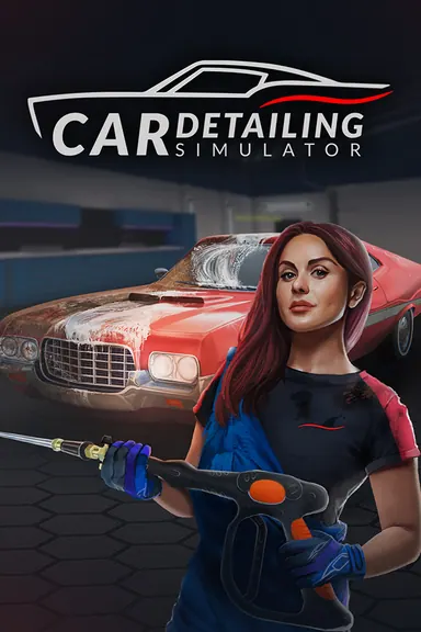 Car Detailing Simulator